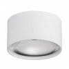 The Nella white 18W surface mounted light features a cylindrical design, a reflective inner surface, and a clear lens over the bulb.