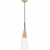 The Finn Series Pendant Light features a modern design with a conical white shade, wooden accent, black cord, and round ceiling mount.