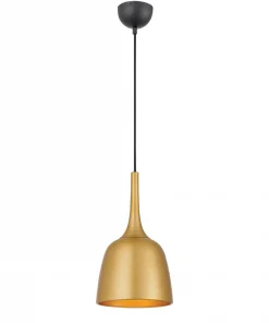 Shani Designs and Lighting