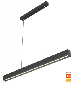 Shani Designs and Lighting