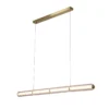 Modern gold hanging LED light fixture