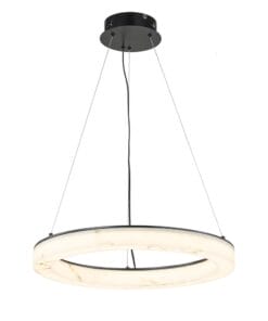 Modern circular LED pendant light fixture